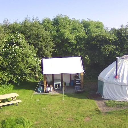 Mill Haven Place Glamping-Yurt 1 Talbenny 外观 照片