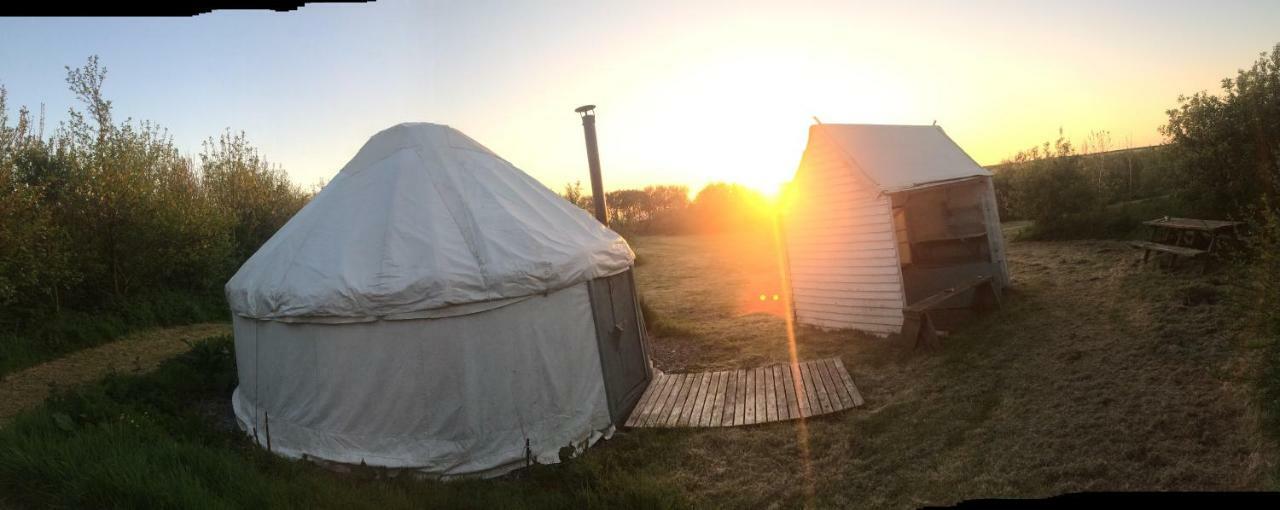 Mill Haven Place Glamping-Yurt 1 Talbenny 外观 照片