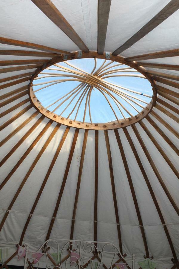 Mill Haven Place Glamping-Yurt 1 Talbenny 外观 照片