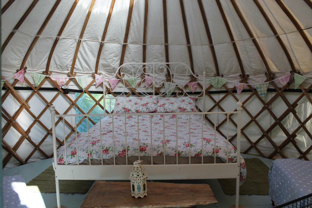 Mill Haven Place Glamping-Yurt 1 Talbenny 外观 照片