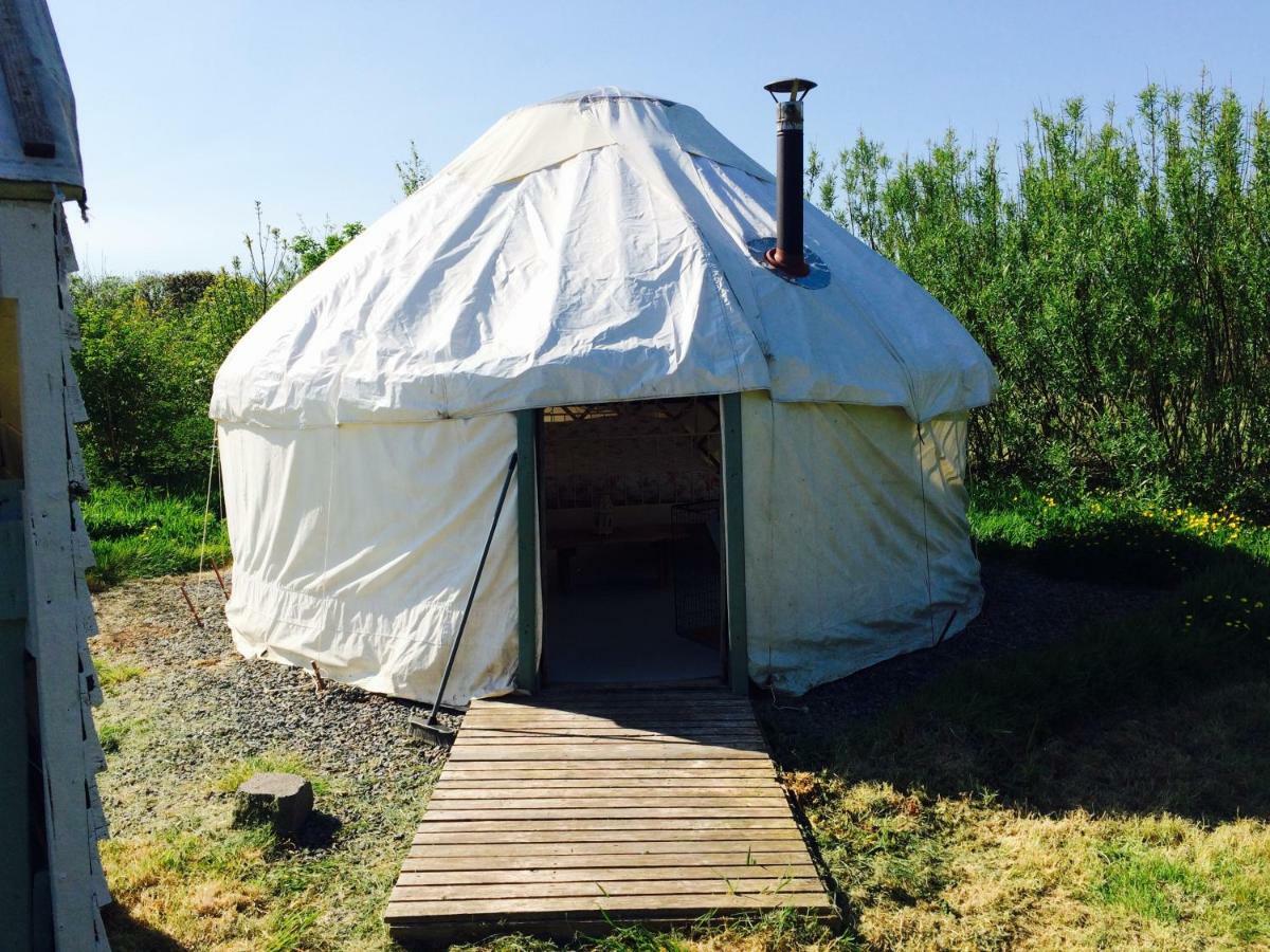 Mill Haven Place Glamping-Yurt 1 Talbenny 外观 照片
