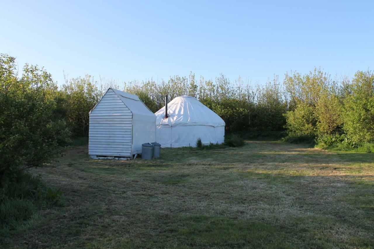 Mill Haven Place Glamping-Yurt 1 Talbenny 外观 照片